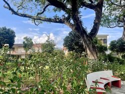 Mayflower Gardens (D20), Semi-Detached #538982771
